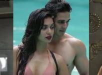 Priyank Sharma and Big Boss