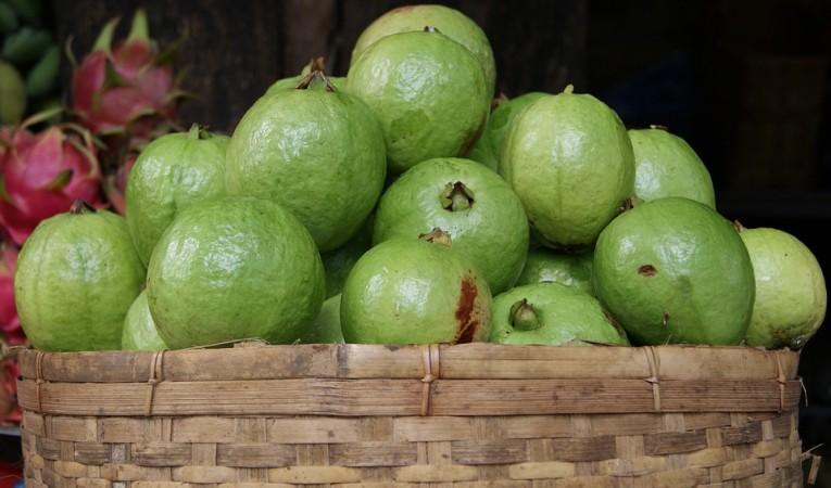 Picture for representation Guava