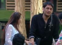 Bigg Boss 11, Vikas Gupta