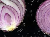 Onion
