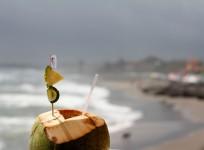 coconut water