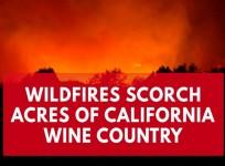 Wildfires blaze through Californias Napa Valley wine country and force evacuations