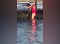 Australian woman wrestling a shark goes viral