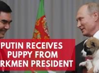 Dog lover Putin gets puppy present from Turkmen leader