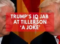 Donald Trump was only joking about Tillersons IQ, says White House