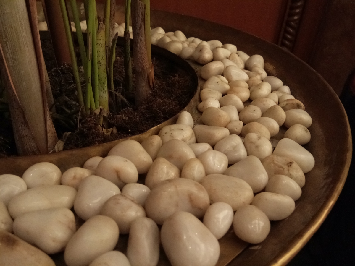 Vivo Y69 Review: Camera samples