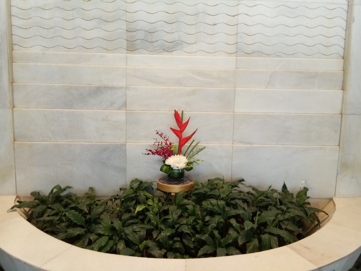 Vivo Y69 Review: Camera samples