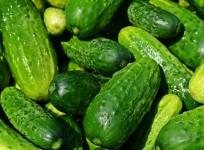cucumber