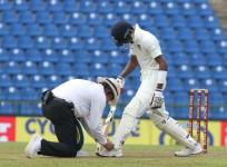 cricket