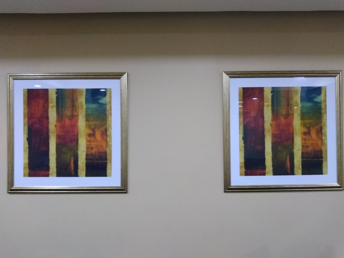 10.or G Review: Camera