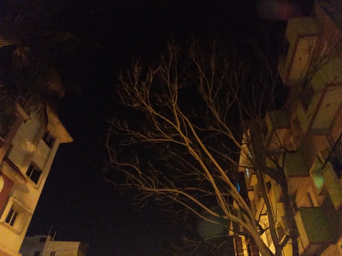 10.or G Review: Camera