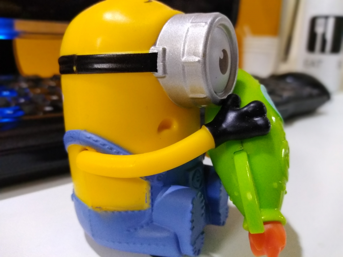 10.or G Review: Bokeh effect