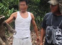 Shocking video shows illegal loggers capture sloth