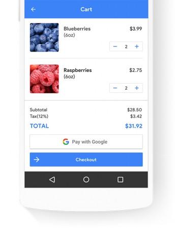 Pay with Google as shown on Google Payment Solutions page Pay with Google