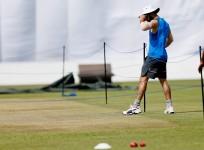 Cricket pitch