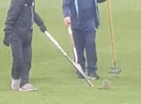 Grey squirrel hopes to stick around for Manchester City Cup game much to groundsmen dismay