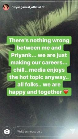 Bigg Boss 11 contestant Priyank Sharma and Divya Agarwal BREAKUP ...