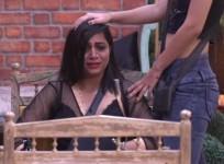 Arshi Khan Bigg Boss 11