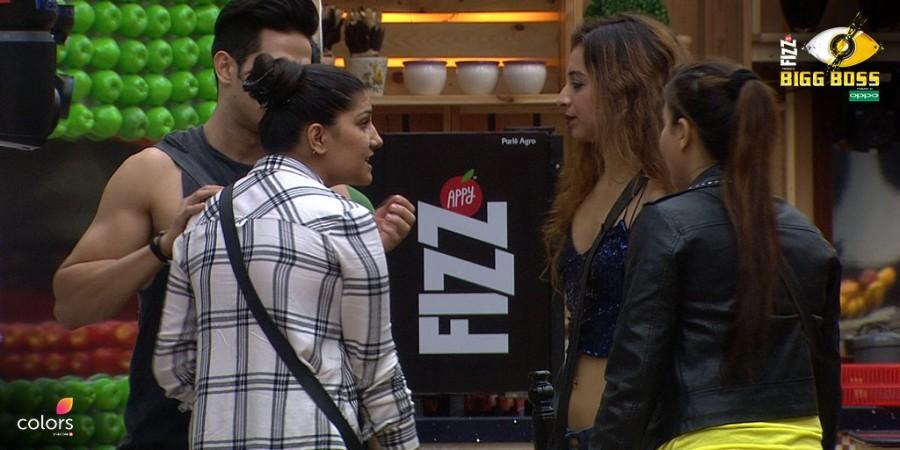 Priyank Sharma, Sapna Choudhary and others in Bigg Boss 11 Priyank Sharma Sapna Choudhary