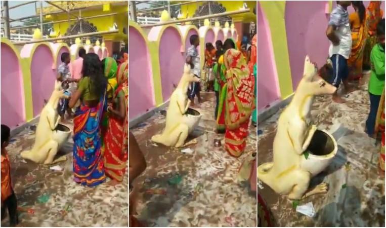 Bihar women worshiping a dustbin Bihar women worshiping a dustbin
