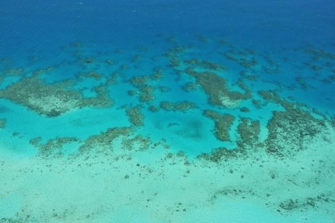 Aerial views of The Great Barrier Reef are seen from above on August 7, 2009 in Cairns, Australia. The Great Barrier Reef