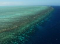 The Great Barrier Reef