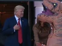 Donald Trump does not like dinosaurs judging by this childs Halloween outfit
