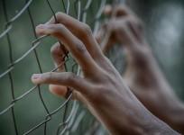 Fence