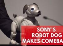 Sonys new Aibo robot dog is the cutest in AI technology