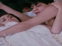 Shah Rukh Khan and Deepa Sahi in Maya Memsaab (1993)