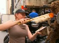Gigantic swarm of bees forces people to duck for cover