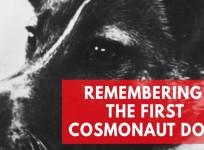 Remembering Laika, the worlds first living creature in space