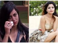 Bigg Boss 11 Arshi Khan