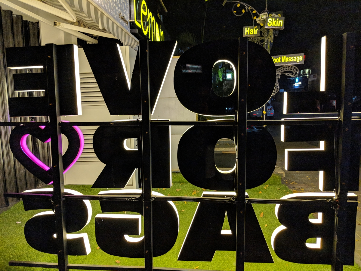 Google Pixel 2 XL: RAW Image