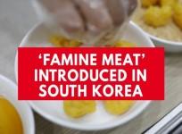 North Korean defector introduces famine meat to South Korea