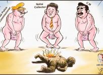 The sketch made by G Bala