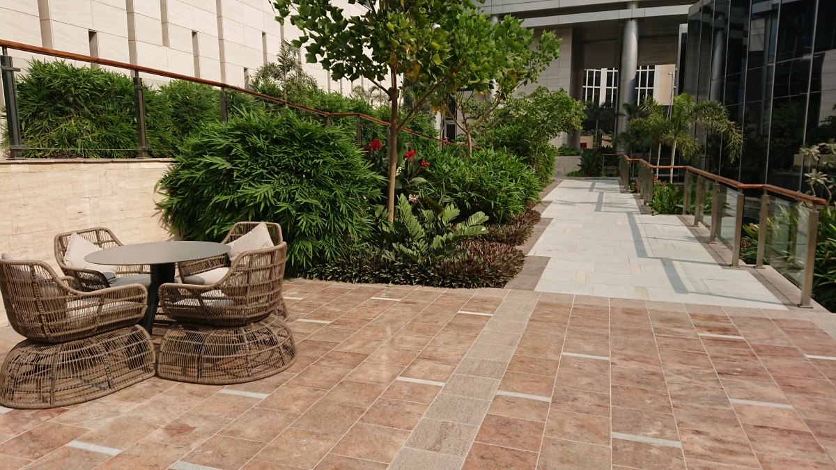 Sony Xperia XZ1 Review