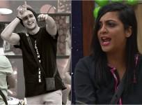 Arshi khan Priyank Sharma