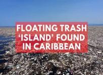 Floating trash island spotted in Caribbean Sea