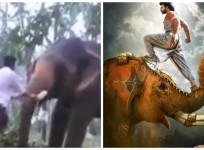 Baahubali 2 stunt went wrong