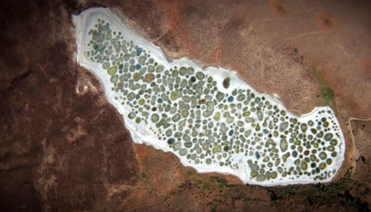 The Spotted Lake in British Columbia The Spotted Lake in British Columbia