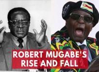President Robert Mugabes rise and fall