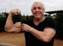 ric flair, wwe