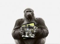 Corning Gorilla Glass turns ten
