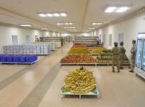 food security market