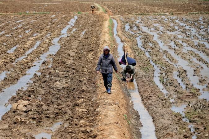 People work in a field just outside Pyongyang, North Korea May 4, 2016. North Korean people