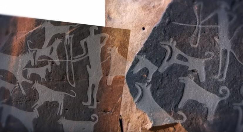 First images of dogs on an ancient rock dicovered in Saudi Arabia First images of dogs
