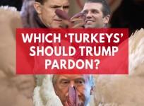 Twitter suggests pardoning Trump Jr instead of turkey