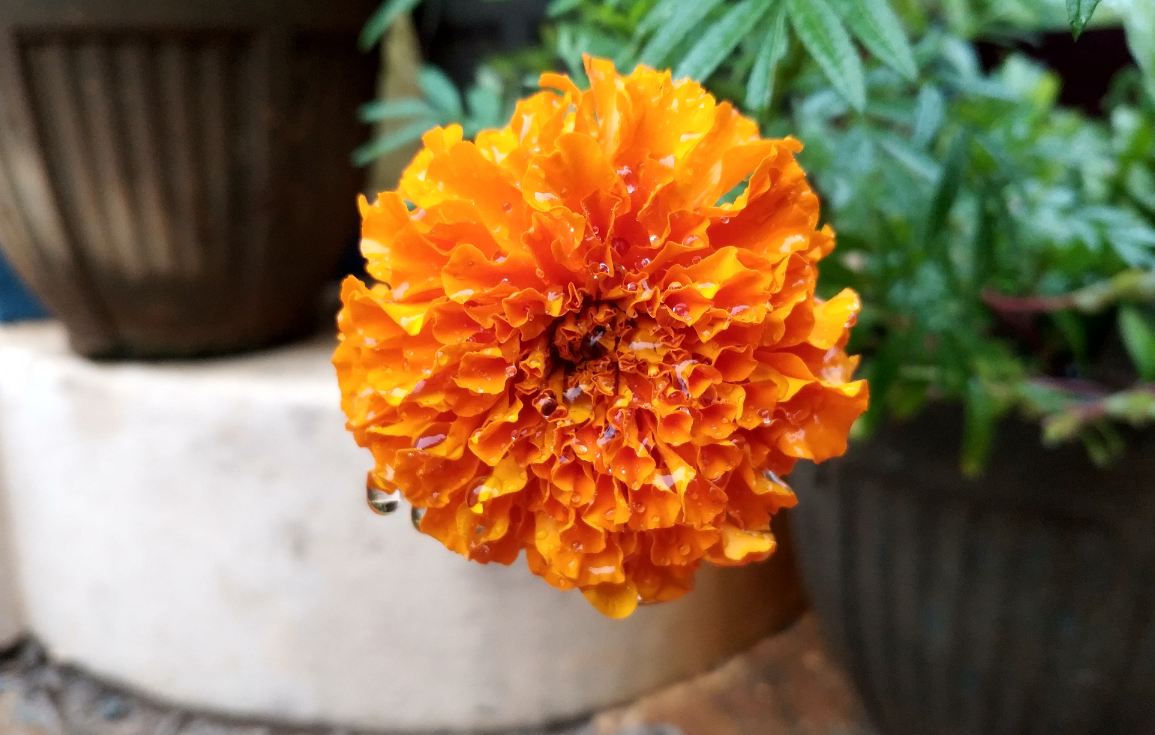 Xiaomi Mi Mix 2 primary camera sample taken in the morning Xiaomi Mi Mix 2, Review, display, design, performance