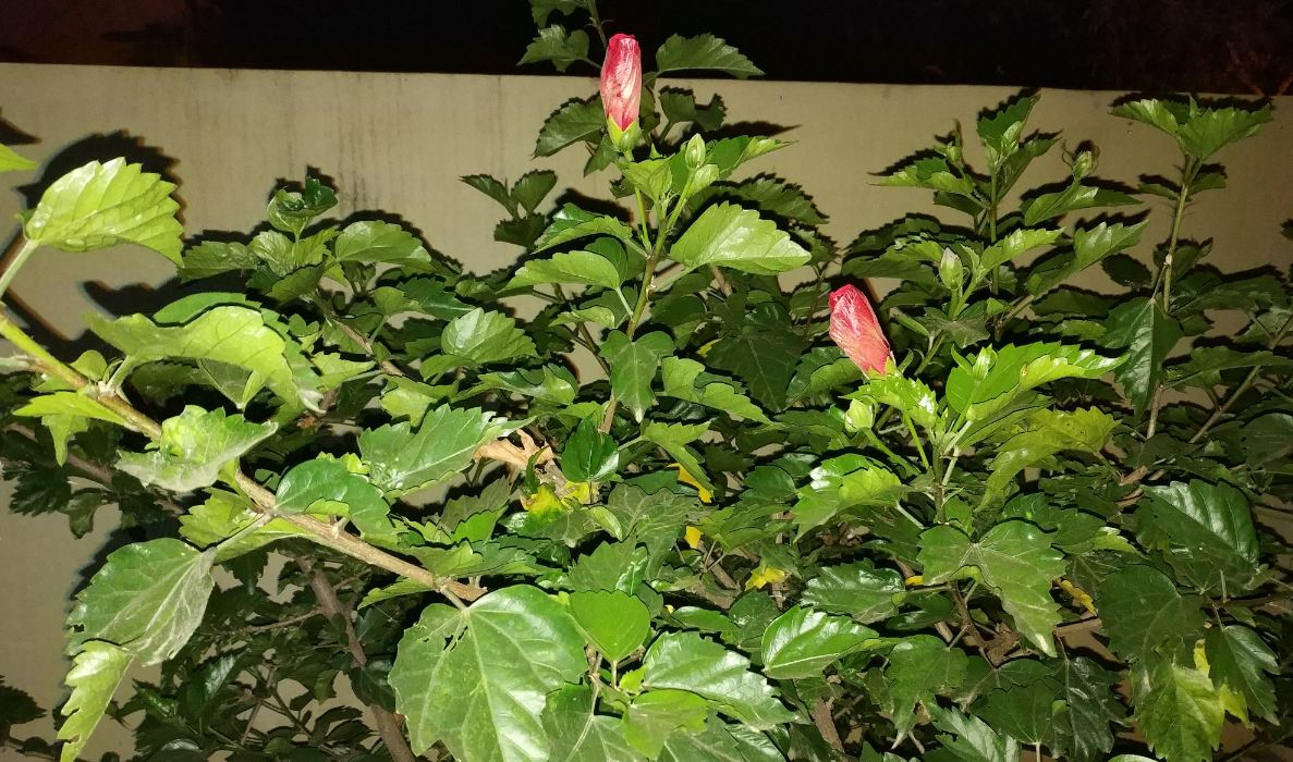 Xiaomi Mi Mix 2 primary camera sample taken in the night Xiaomi Mi Mix 2, Review, display, design, performance